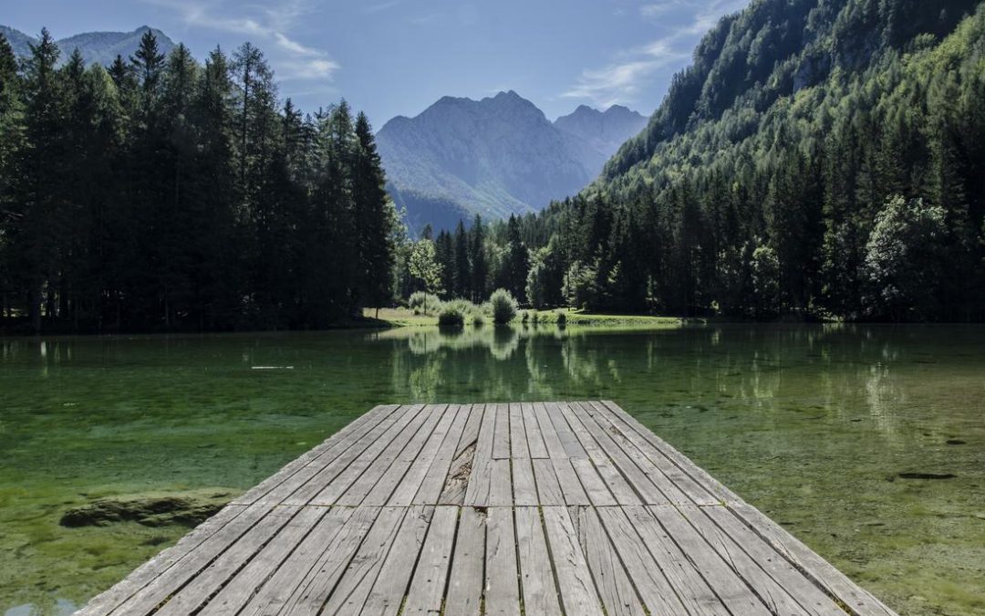 Ut itaque eligendi dolores