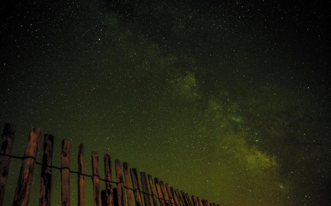 Ut veniam et nisi in consequatur