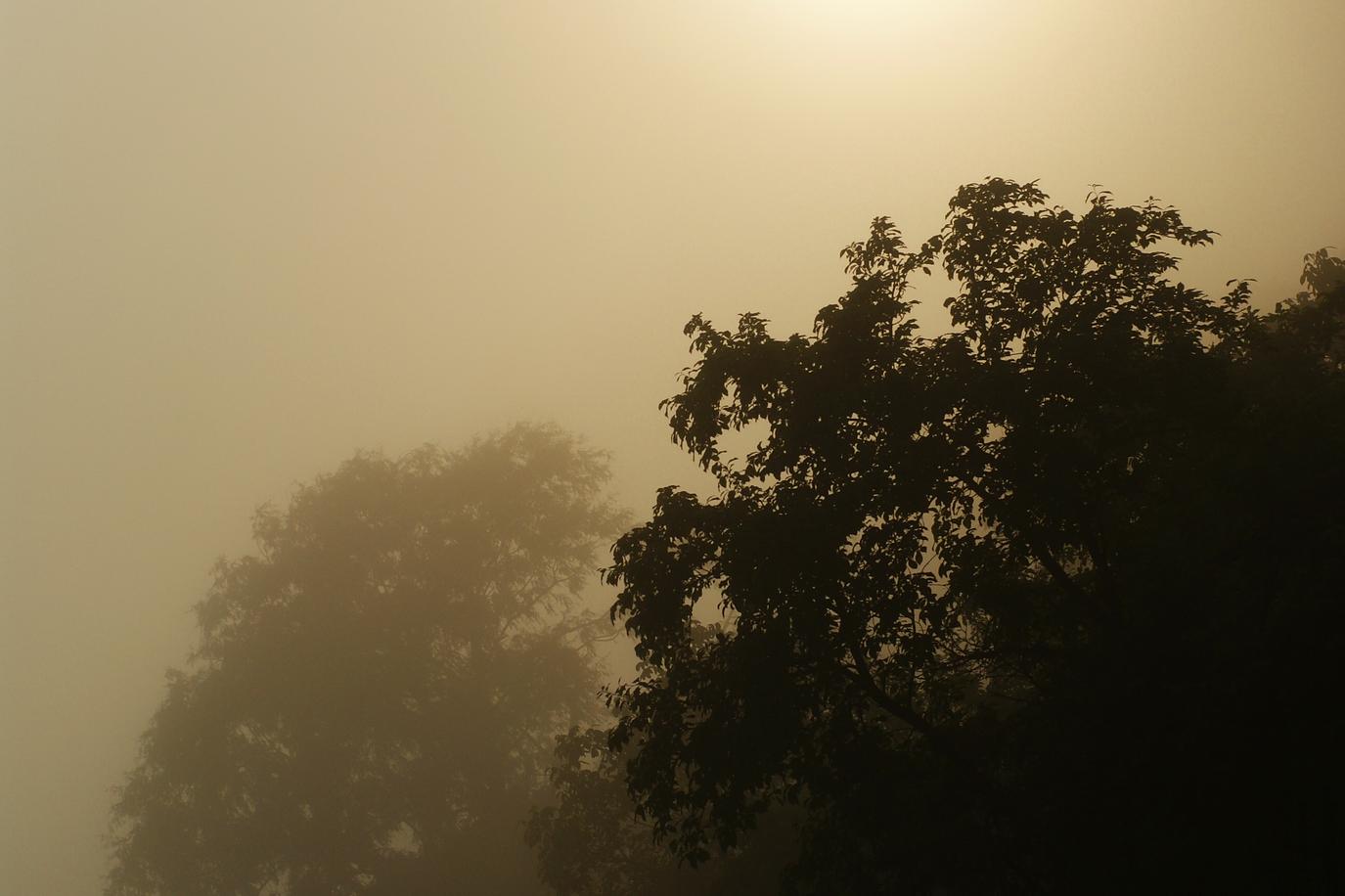 Quis voluptates natus qui