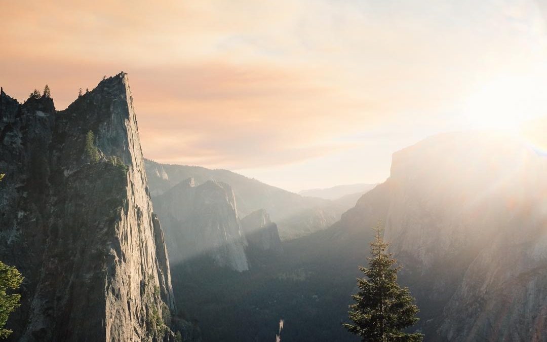 Tempore temporibus odio nam est animi aut